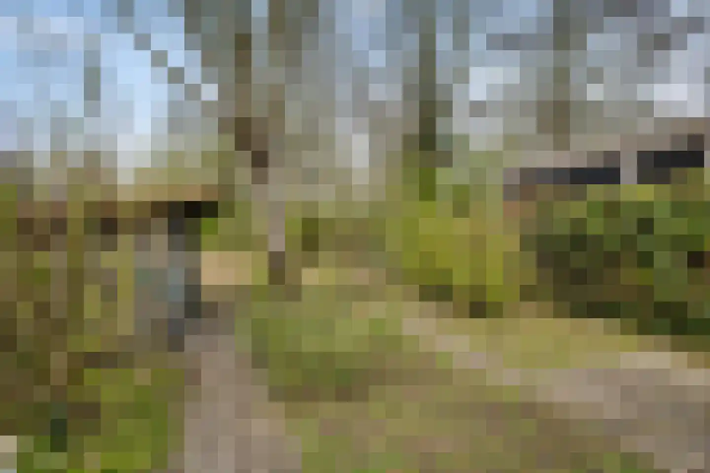 Kleine Immert 35 Hoogkarspel thumbnail 31