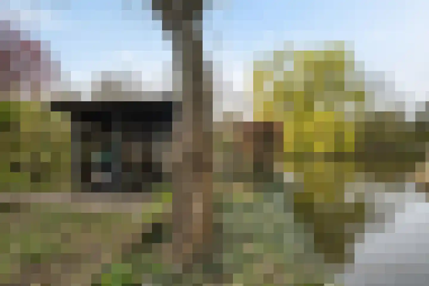 Kleine Immert 35 Hoogkarspel thumbnail 32