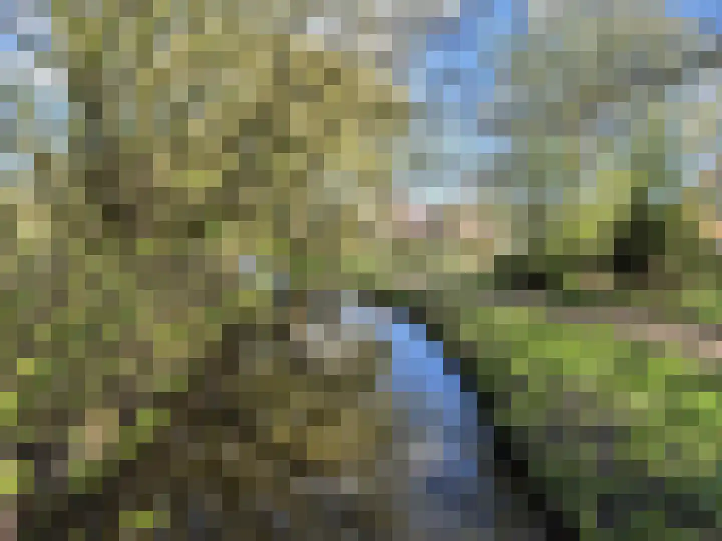 Kleine Immert 35 Hoogkarspel thumbnail 42