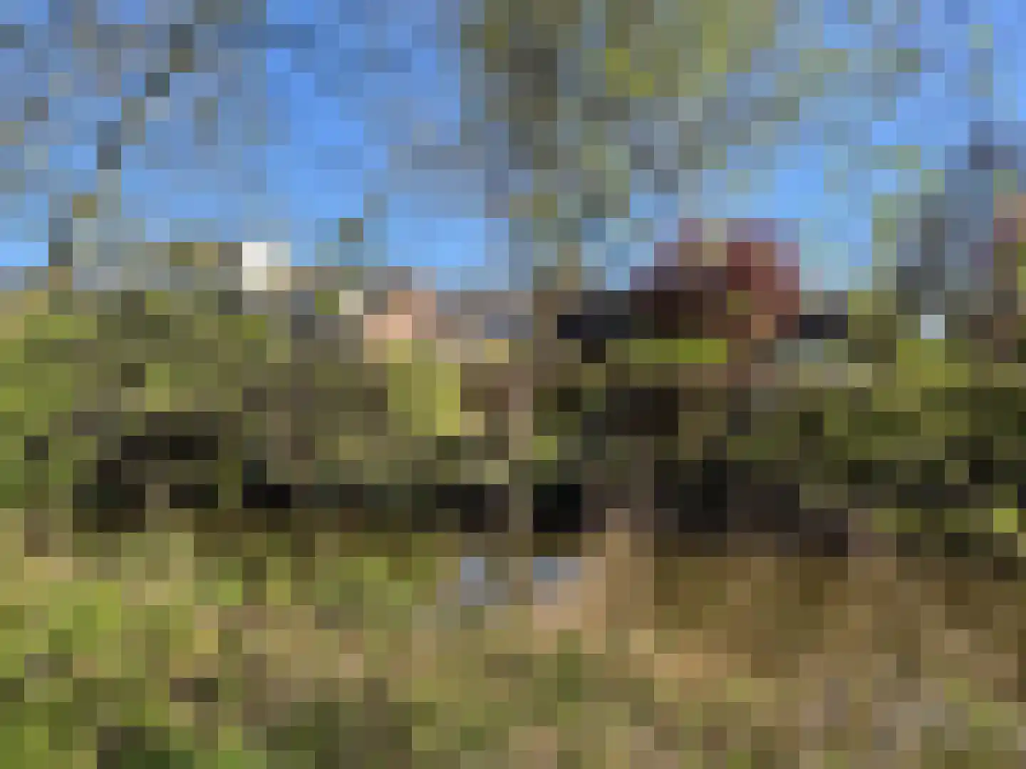 Kleine Immert 35 Hoogkarspel thumbnail 43