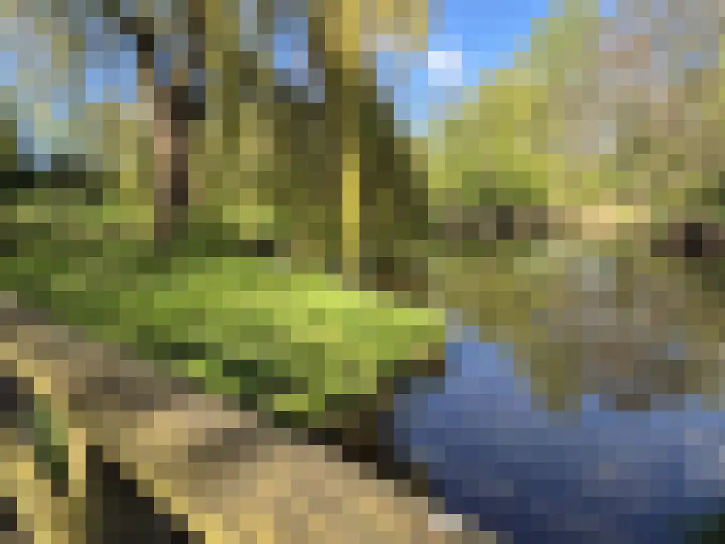 Kleine Immert 35 Hoogkarspel thumbnail 43