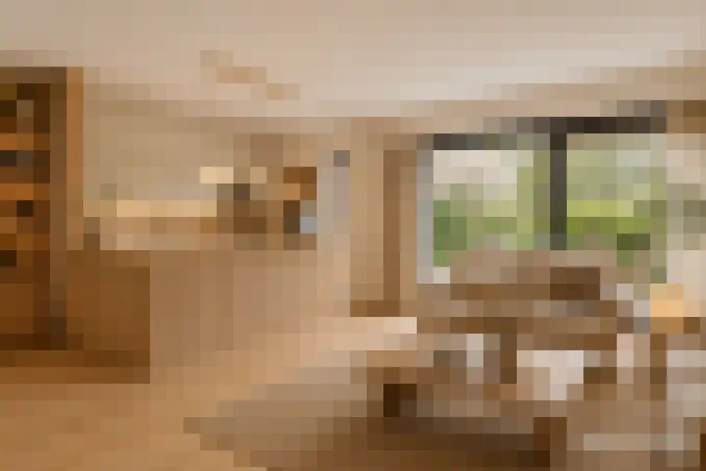 Kleine Immert 35 Hoogkarspel thumbnail 5