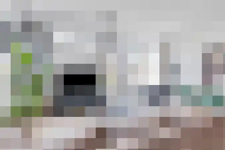 Kleine Inez erf 11 Capelle aan den IJssel thumbnail 7