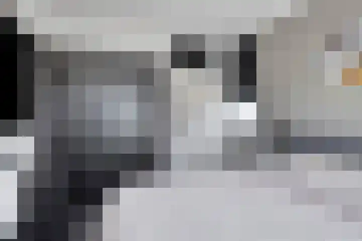 Kleine Inez erf 11 Capelle aan den IJssel thumbnail 8