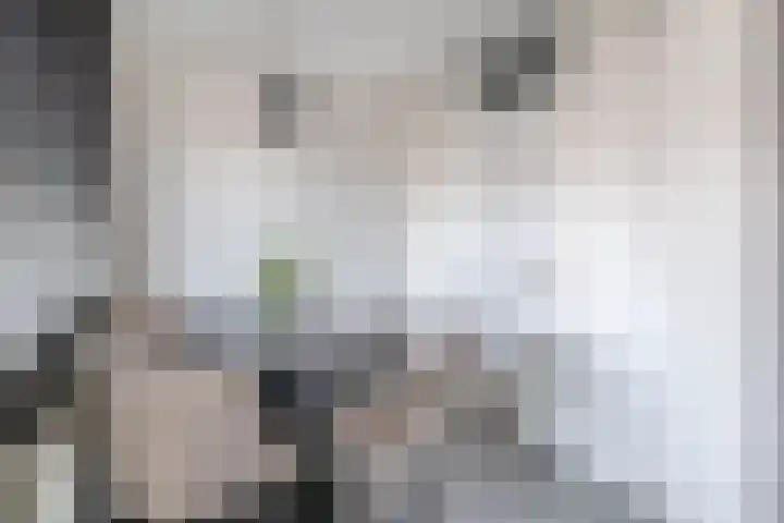 Kleine Inez erf 16 Capelle aan den IJssel thumbnail 16