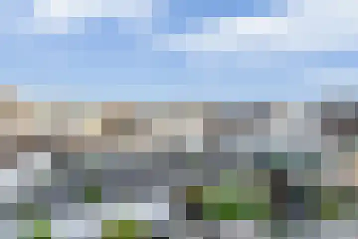 Kleine Inez erf 16 Capelle aan den IJssel thumbnail 22
