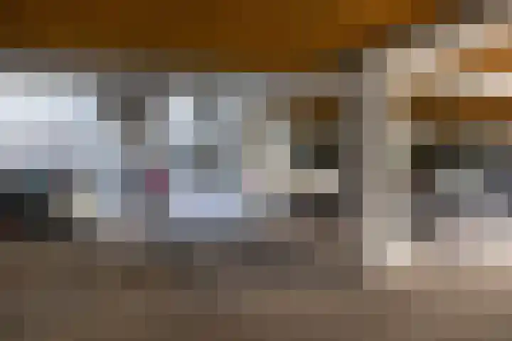 Kleine Inez erf 16 Capelle aan den IJssel thumbnail 32