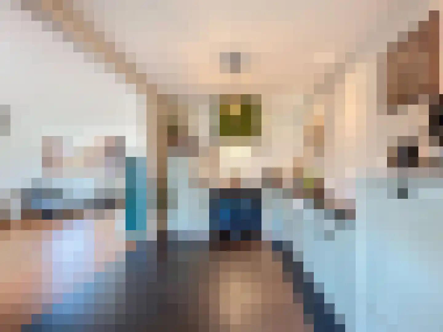 Kleine Jonkvrouwstraat 27 IJzendijke thumbnail 11