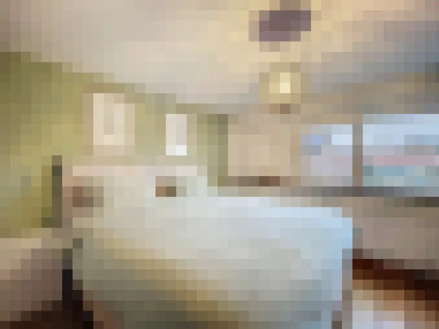 Kleine Jonkvrouwstraat 27 IJzendijke thumbnail 18