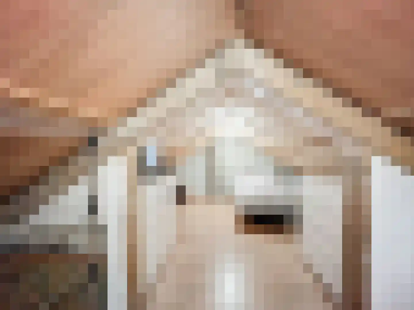 Kleine Jonkvrouwstraat 27 IJzendijke thumbnail 22