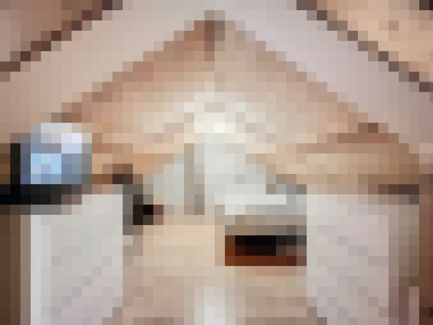 Kleine Jonkvrouwstraat 27 IJzendijke thumbnail 23