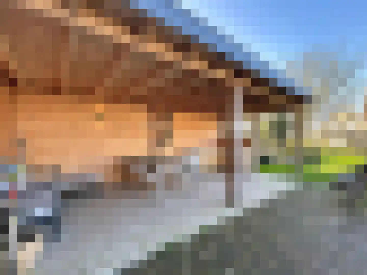 Kleine Jonkvrouwstraat 27 IJzendijke thumbnail 33
