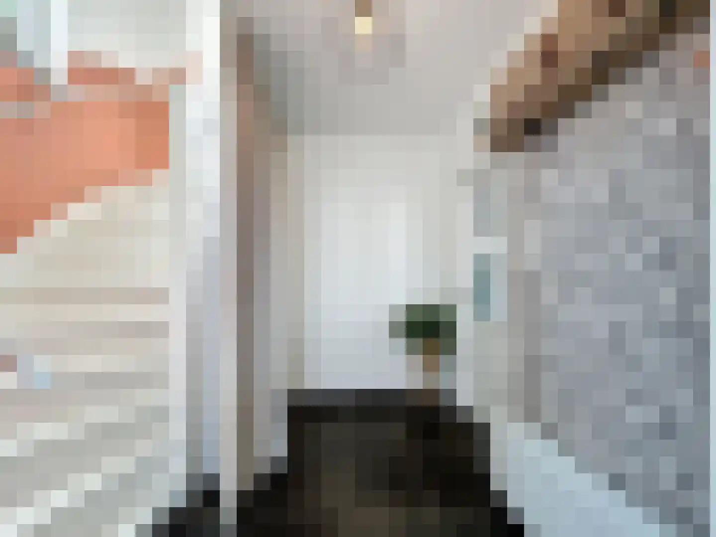 Kleine Jonkvrouwstraat 27 IJzendijke thumbnail 6
