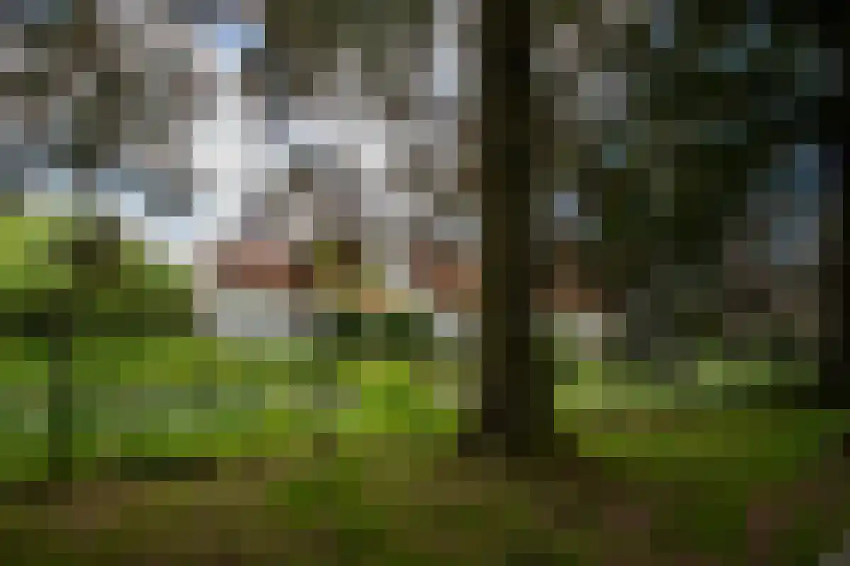 Kleine Kamp 11 Haelen thumbnail 10