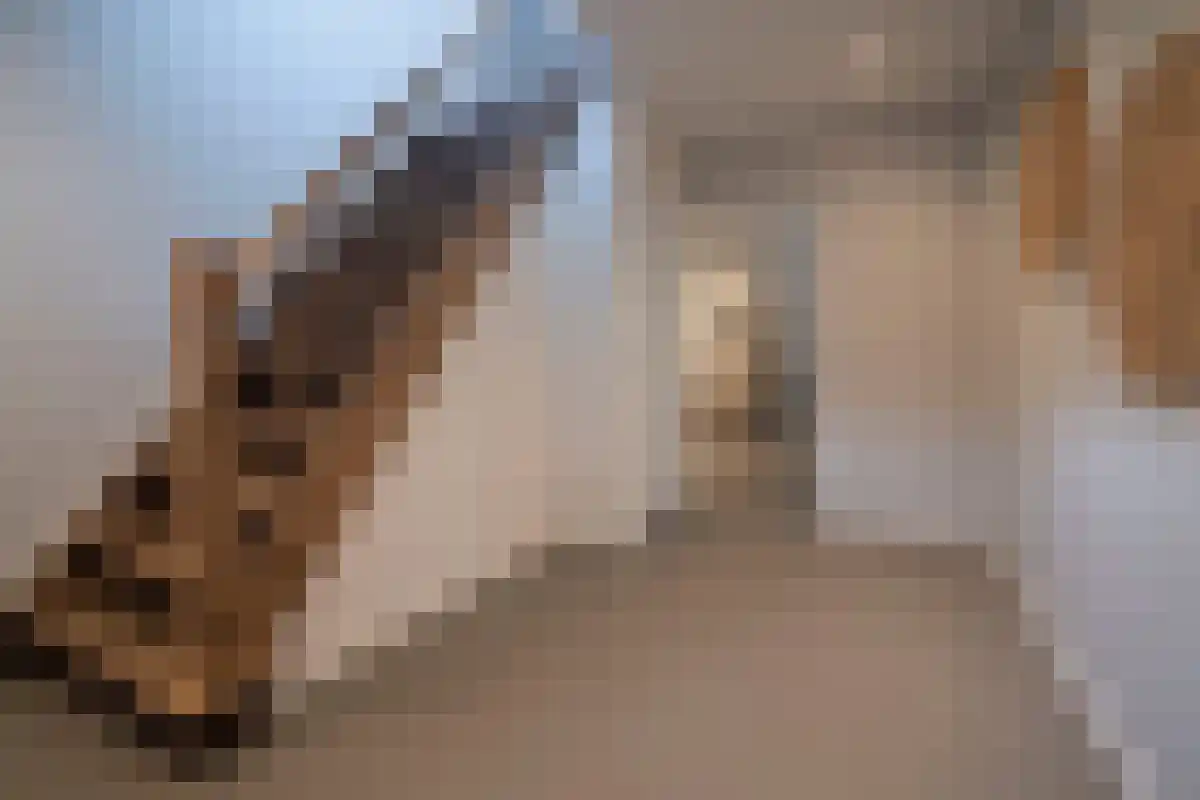 Kleine Kamp 11 Haelen thumbnail 15
