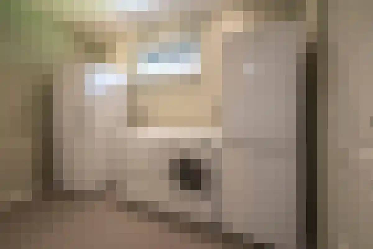 Kleine Kamp 11 Haelen thumbnail 31