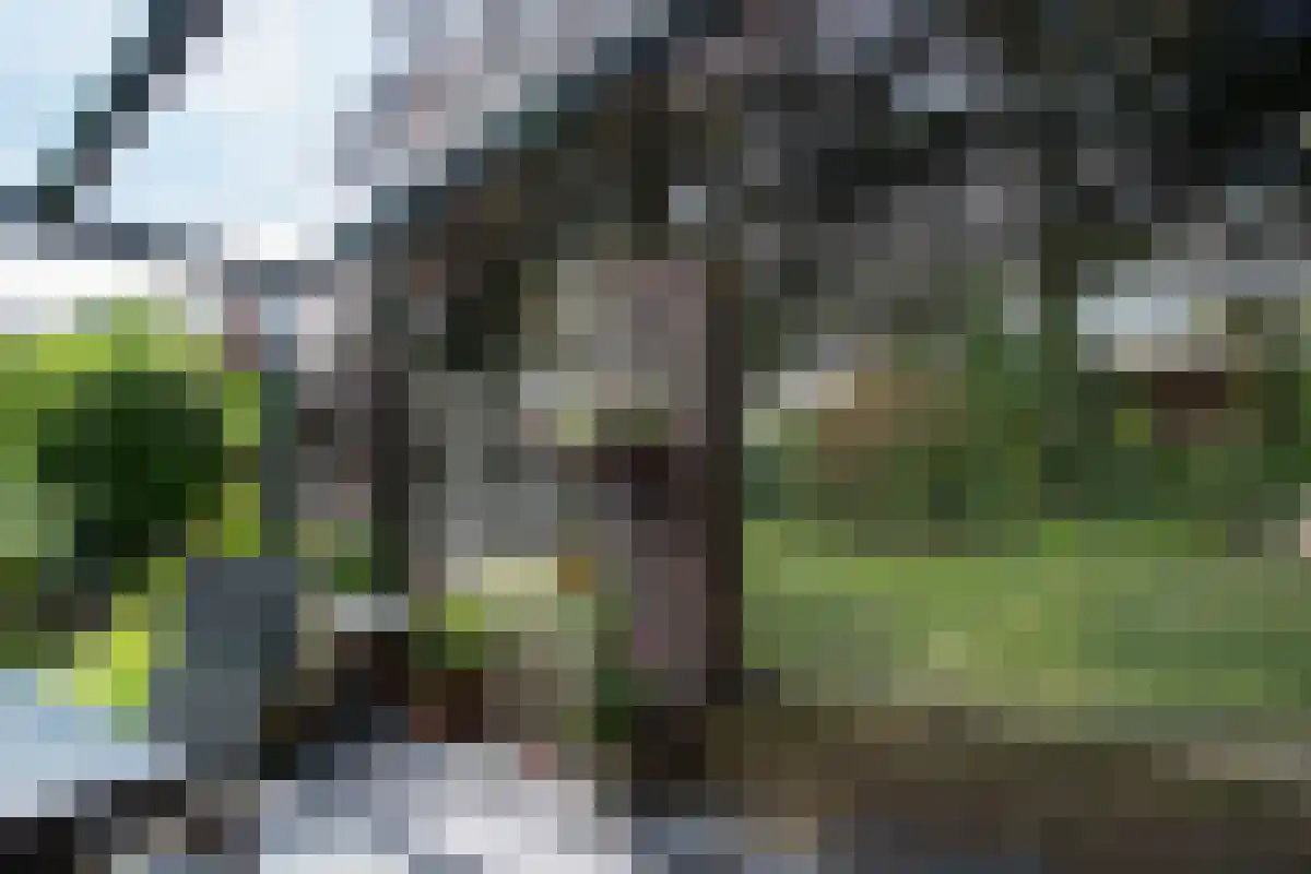 Kleine Kamp 11 Haelen thumbnail 35