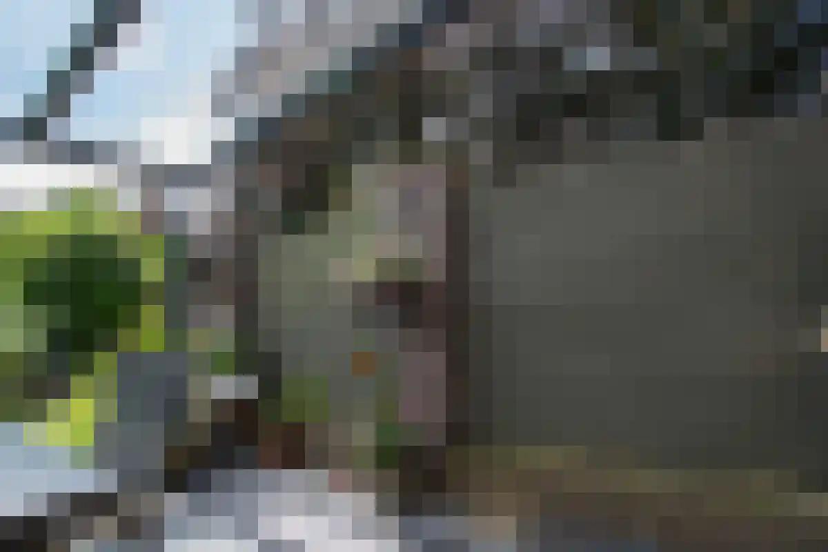 Kleine Kamp 11 Haelen thumbnail 36
