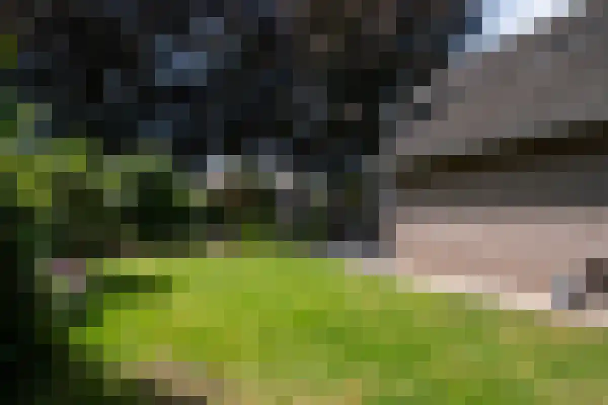 Kleine Kamp 11 Haelen thumbnail 38