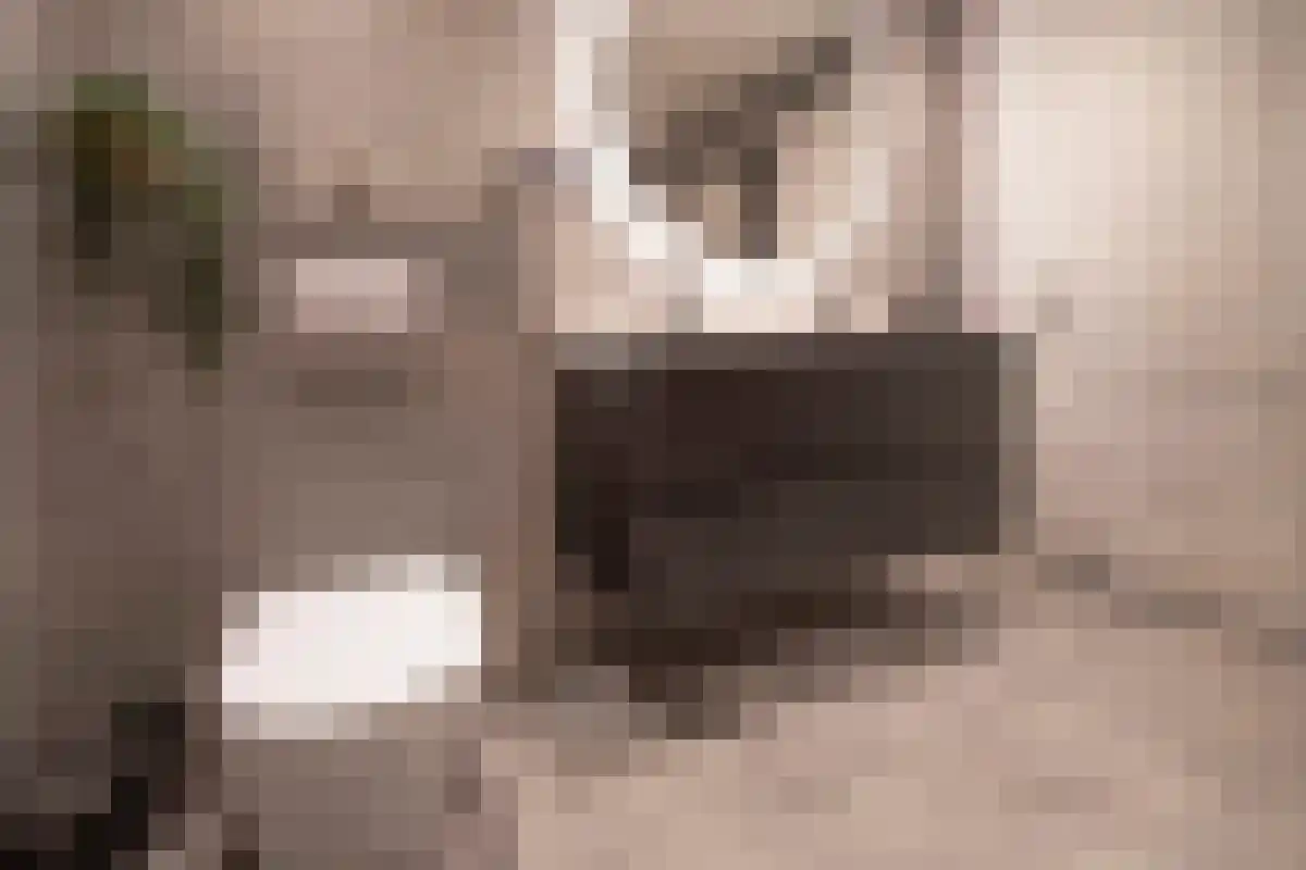 Kleine Kamp 11 Haelen thumbnail 47