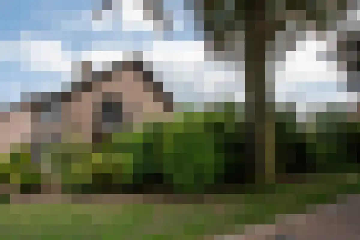 Kleine Kamp 11 Haelen thumbnail 7