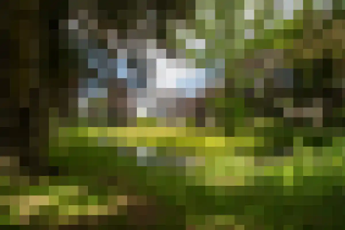 Kleine Kamp 11 Haelen thumbnail 9