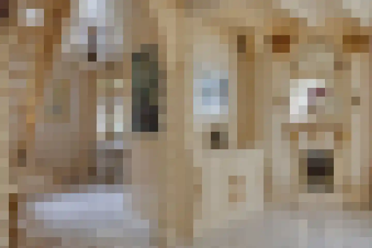 Kleine Kemp 3 Herten thumbnail 24