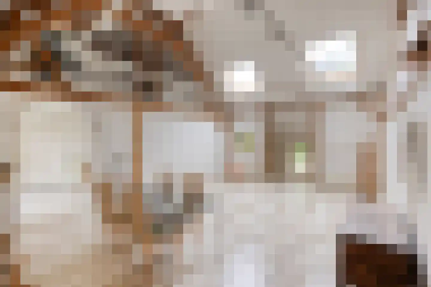 Kleine Kemp 3 Herten thumbnail 37