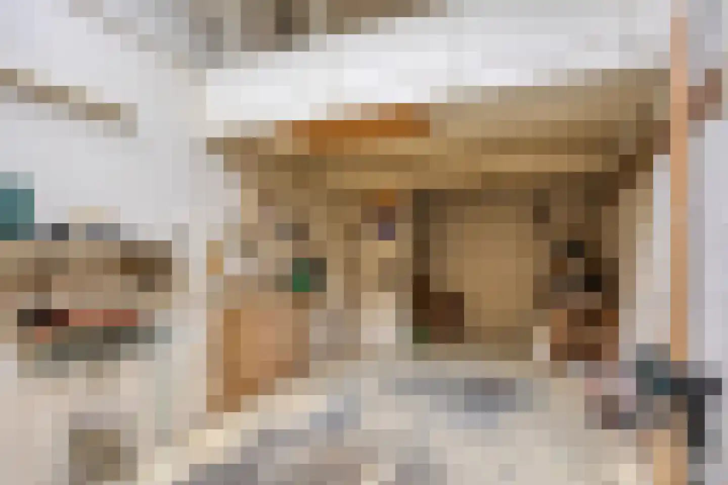 Kleine Kemp 3 Herten thumbnail 44