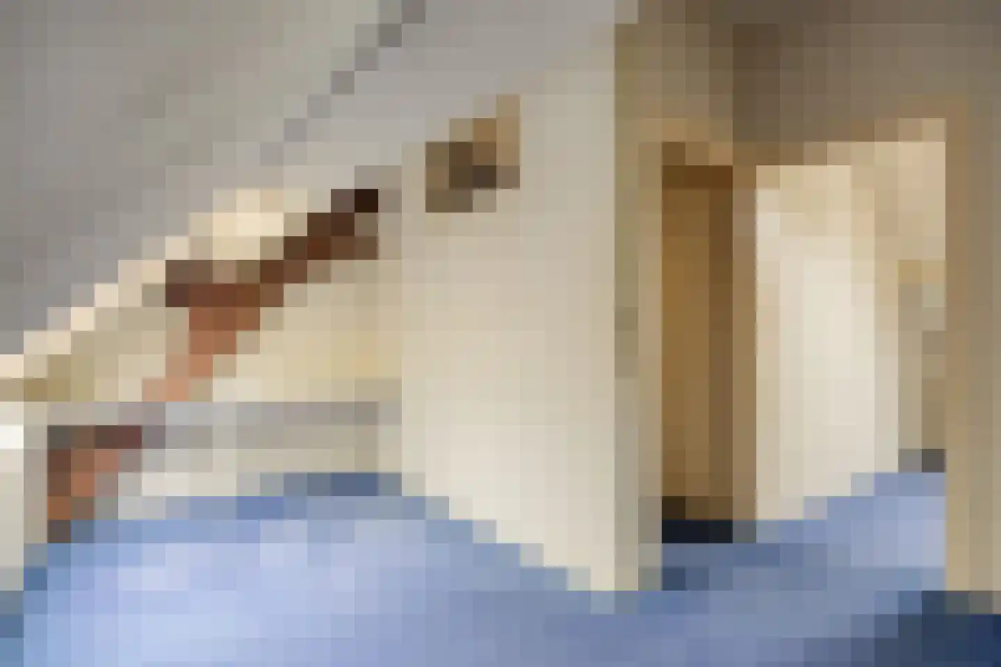 Kleine Kemp 3 Herten thumbnail 48