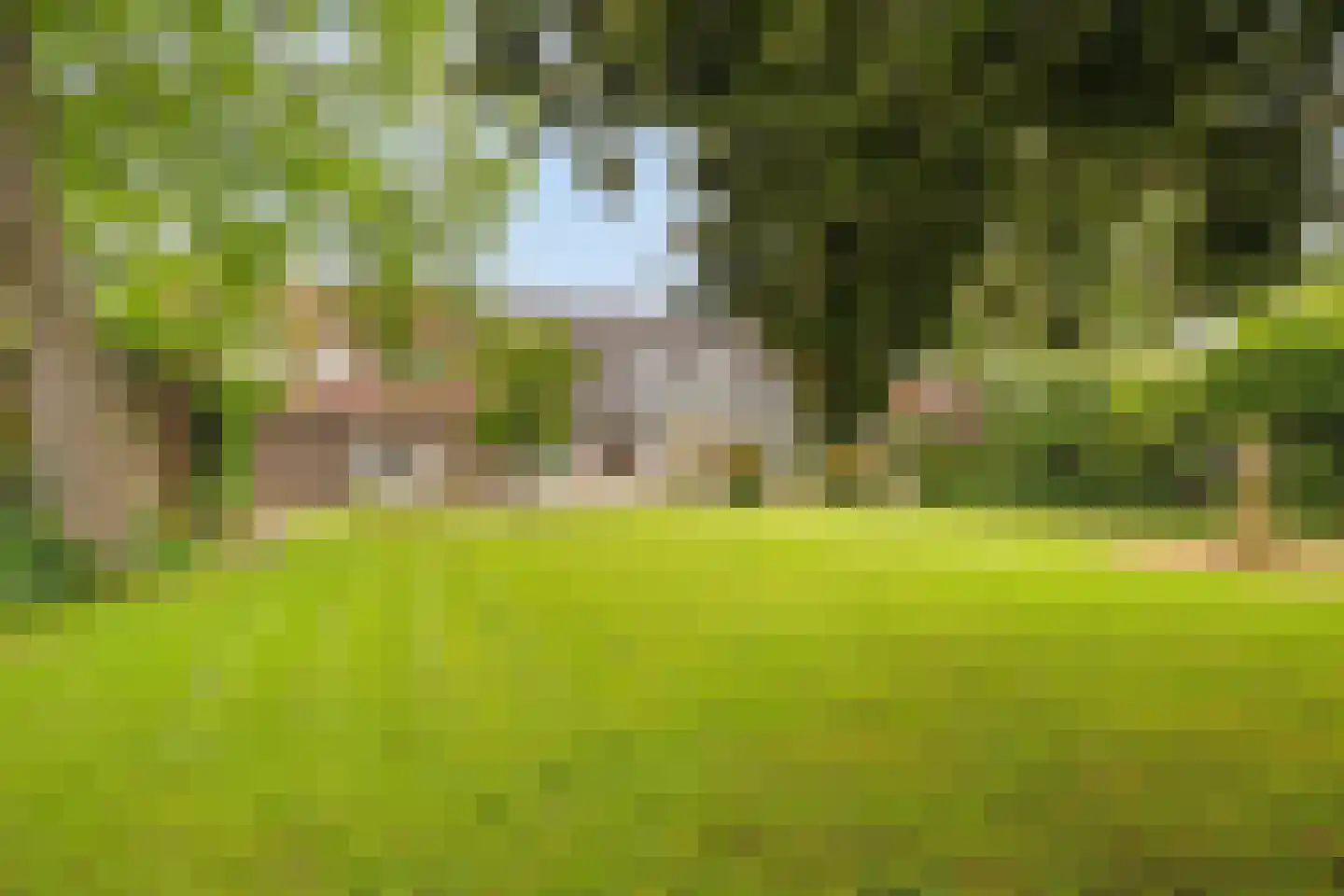 Kleine Kemp 3 Herten thumbnail 54