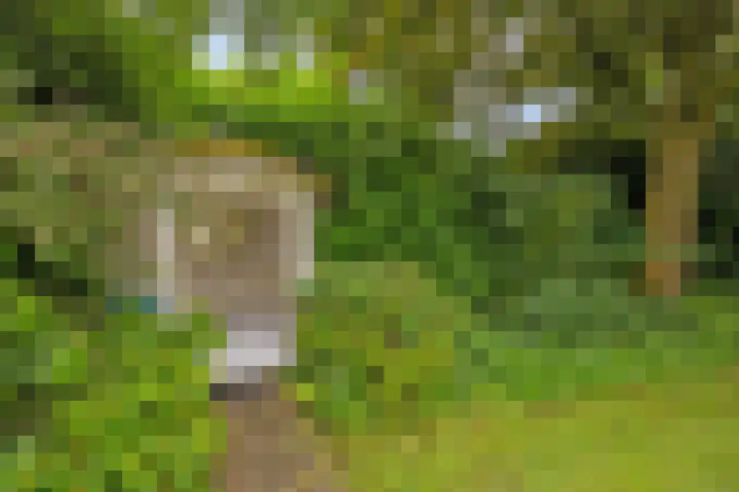 Kleine Kemp 3 Herten thumbnail 55
