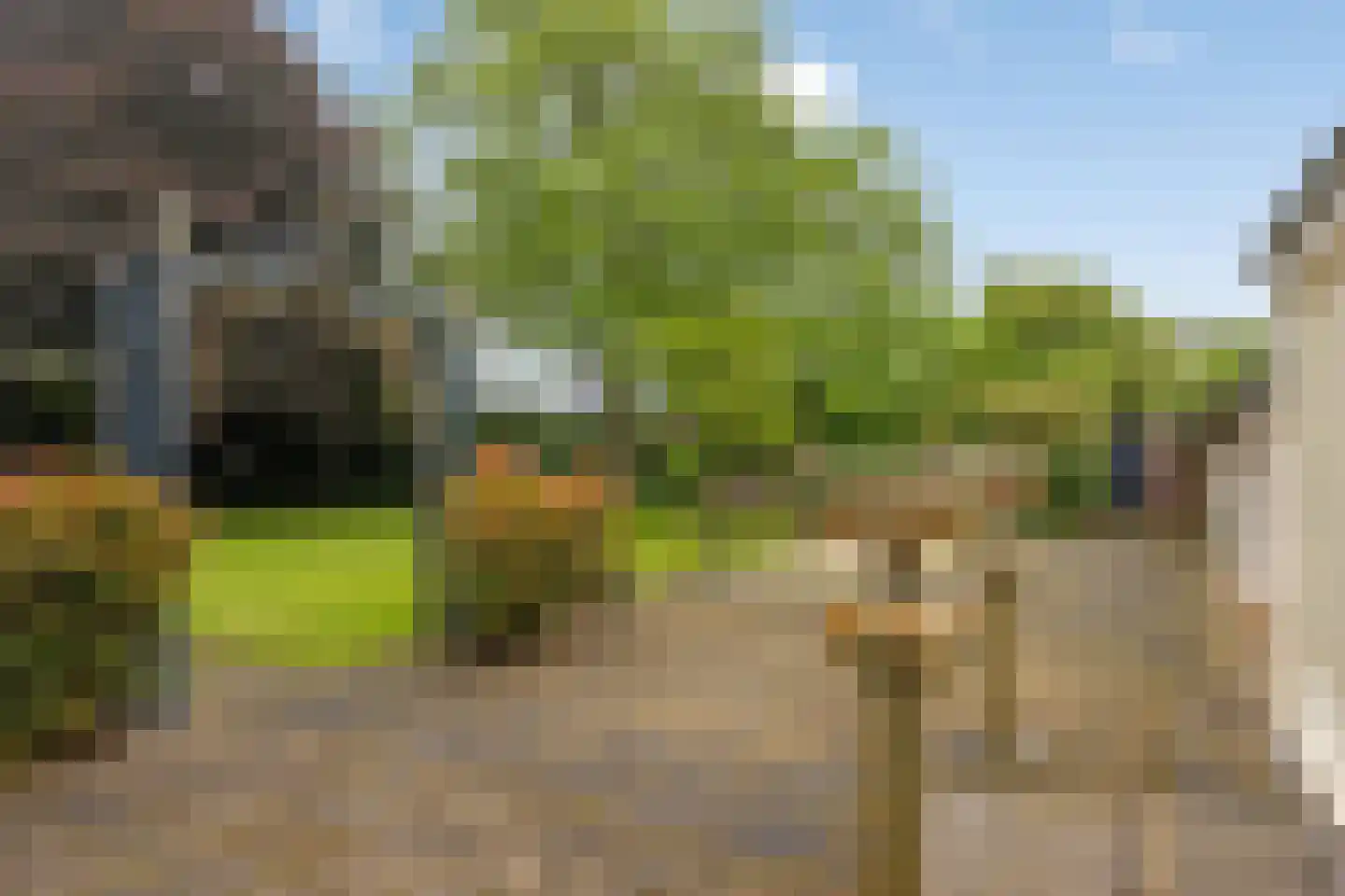 Kleine Kemp 3 Herten thumbnail 58