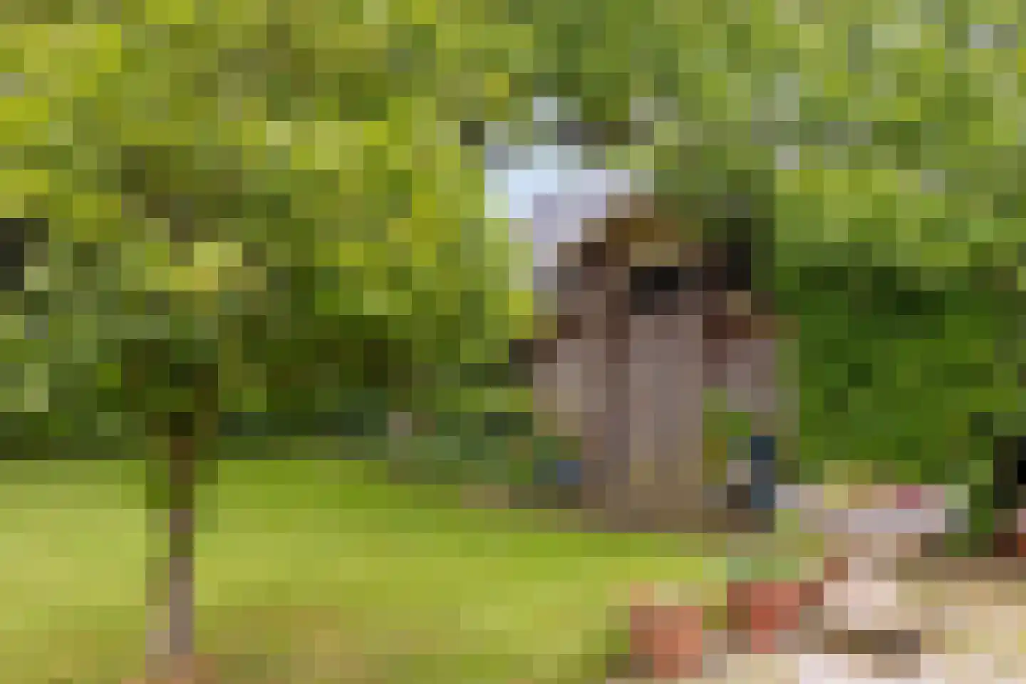 Kleine Kemp 3 Herten thumbnail 59