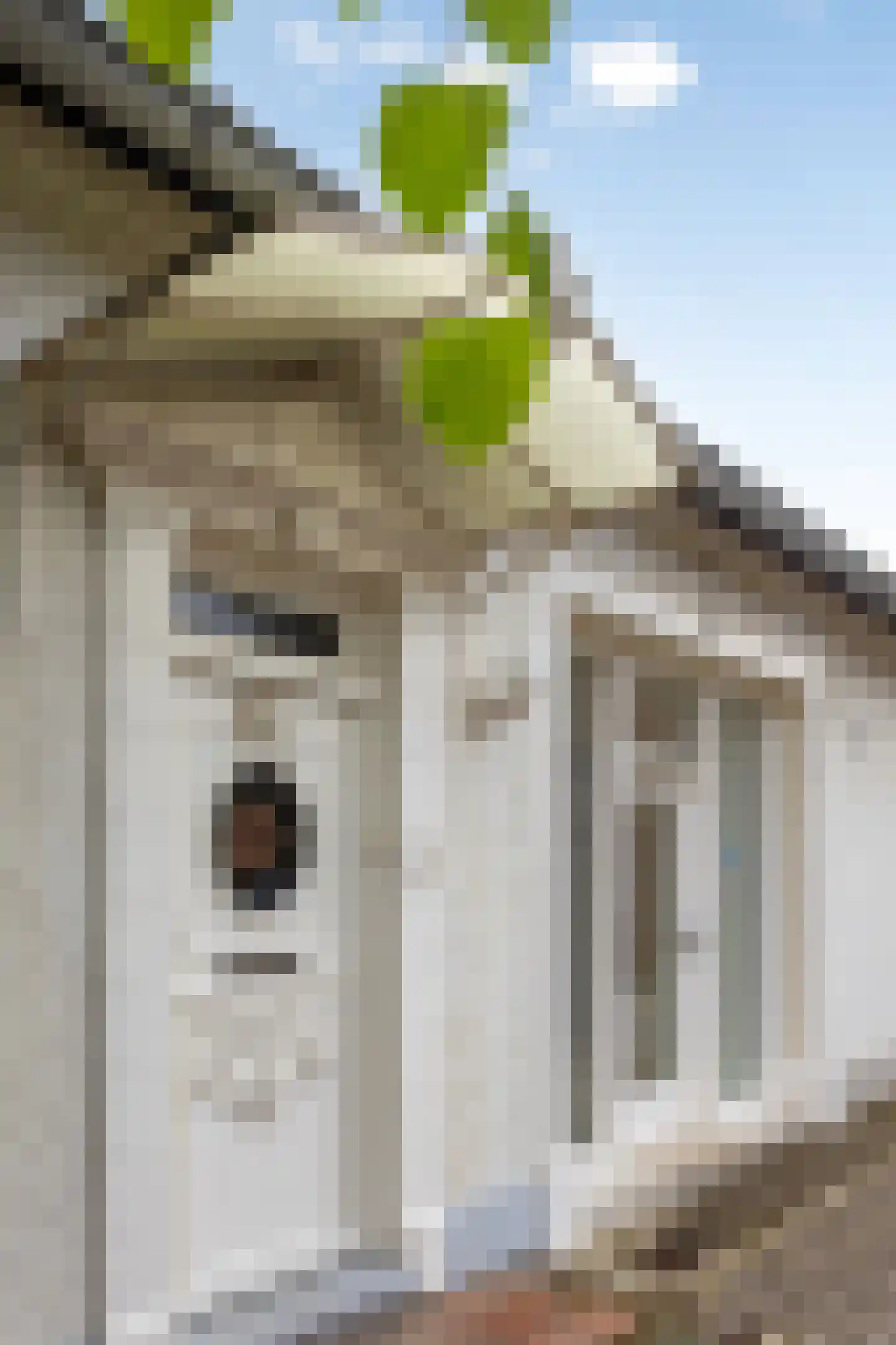 Kleine Kemp 3 Herten thumbnail 6