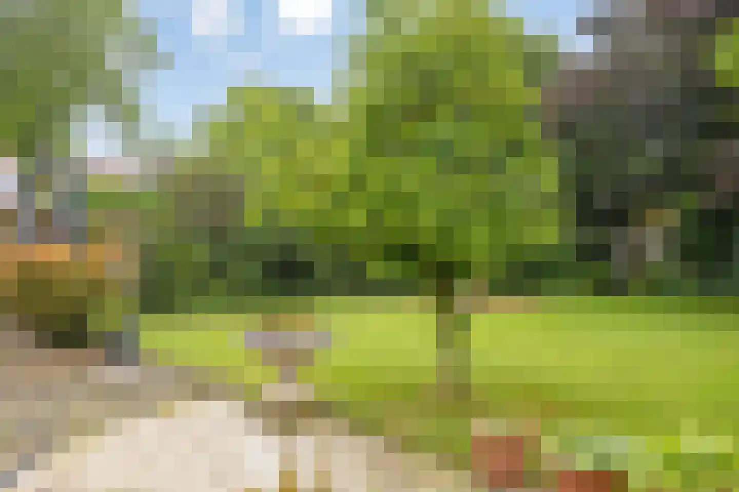 Kleine Kemp 3 Herten thumbnail 60