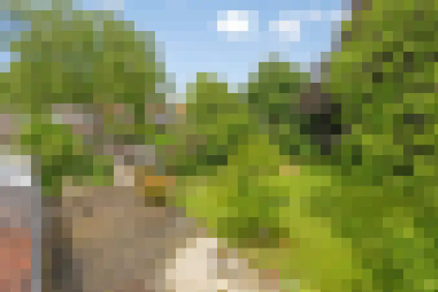 Kleine Kemp 3 Herten thumbnail 62