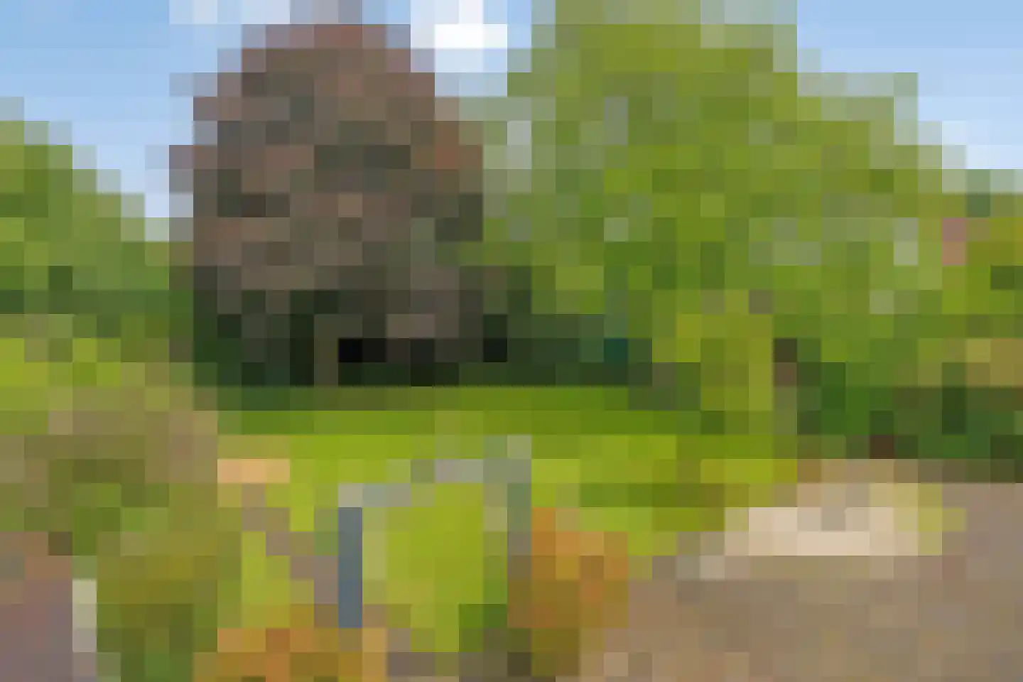 Kleine Kemp 3 Herten thumbnail 63