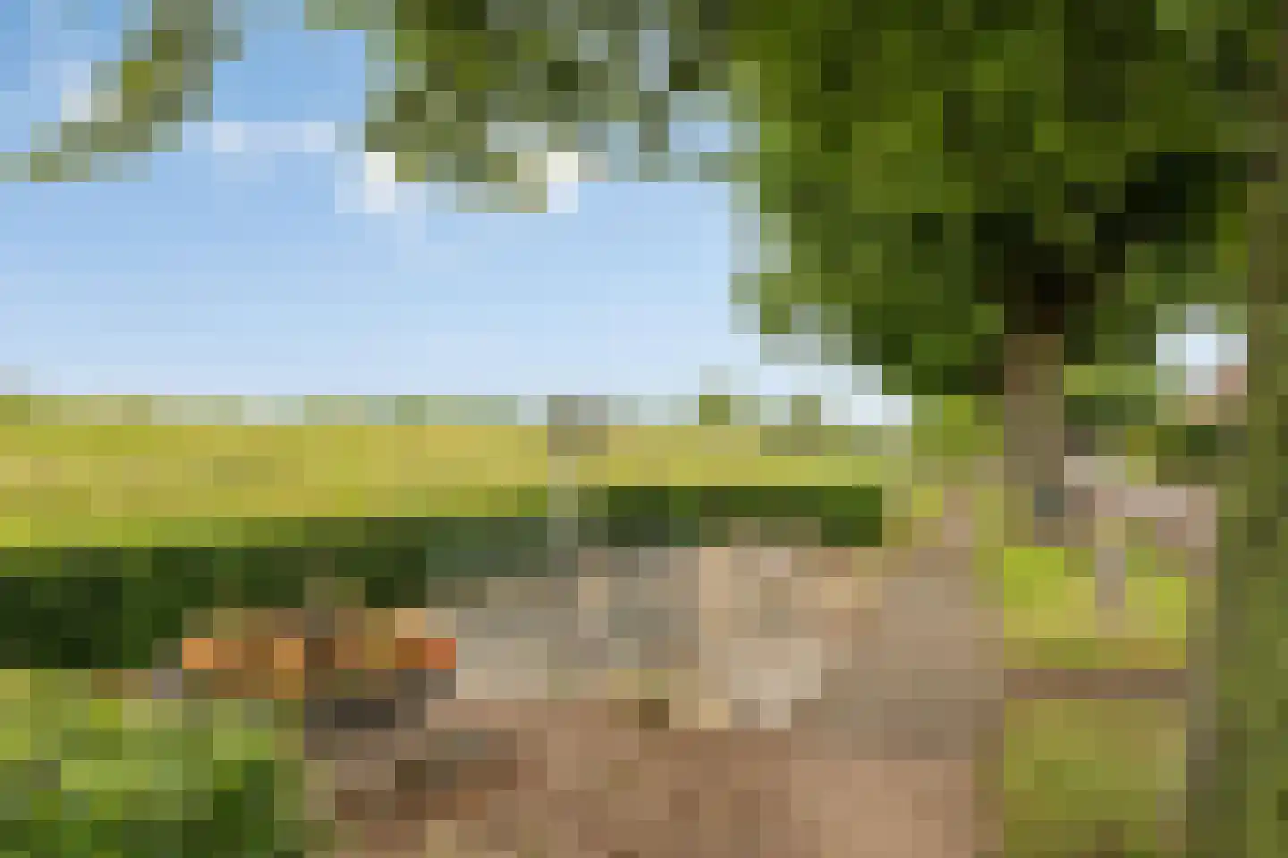 Kleine Kemp 3 Herten thumbnail 67