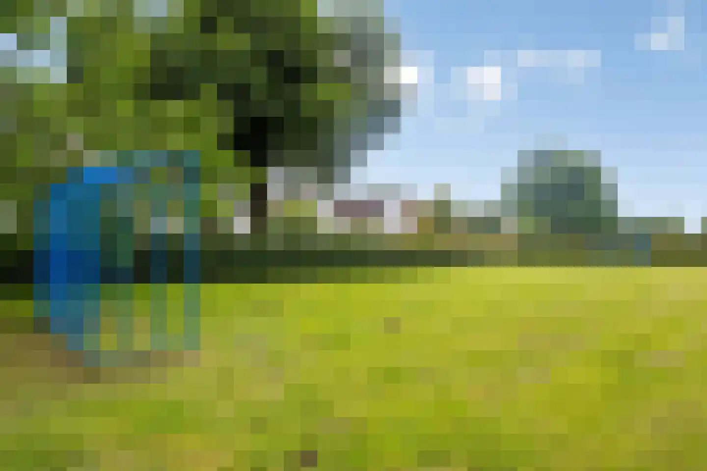 Kleine Kemp 3 Herten thumbnail 71