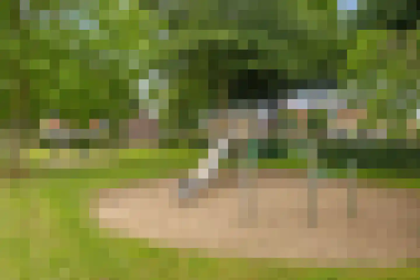 Kleine Kemp 3 Herten thumbnail 72