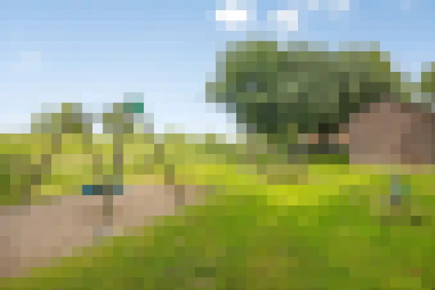 Kleine Kemp 3 Herten thumbnail 73