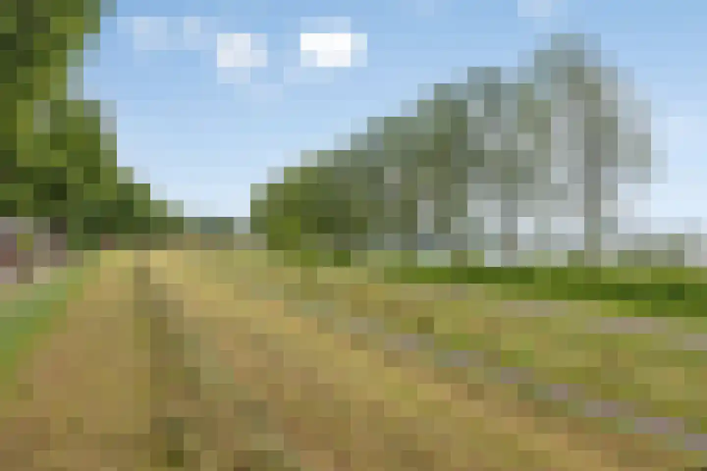 Kleine Kemp 3 Herten thumbnail 74