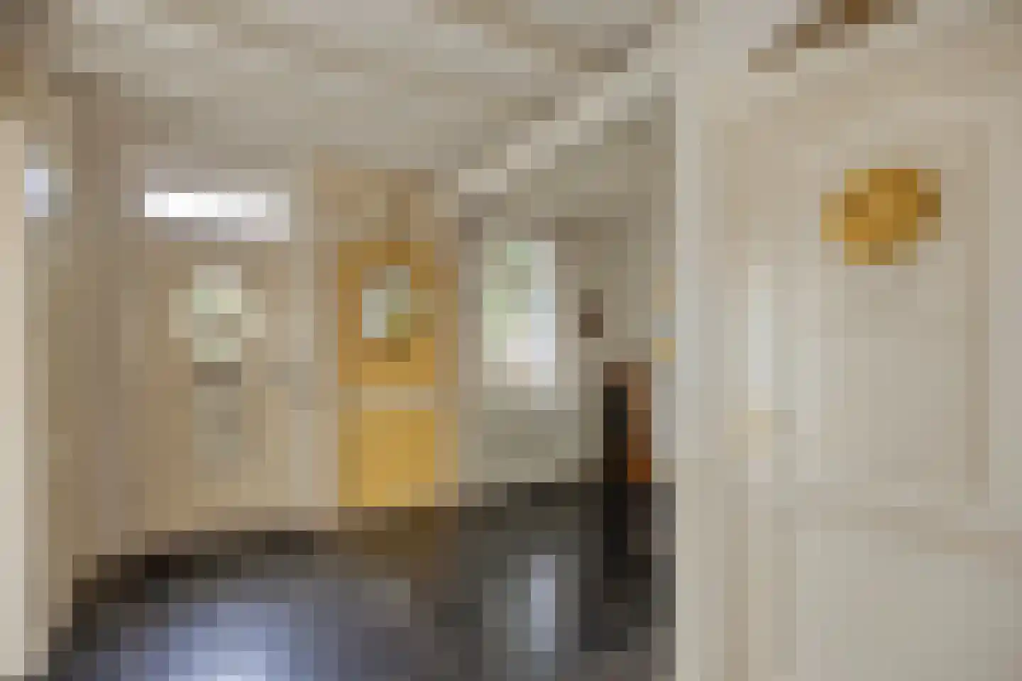 Kleine Kemp 3 Herten thumbnail 8