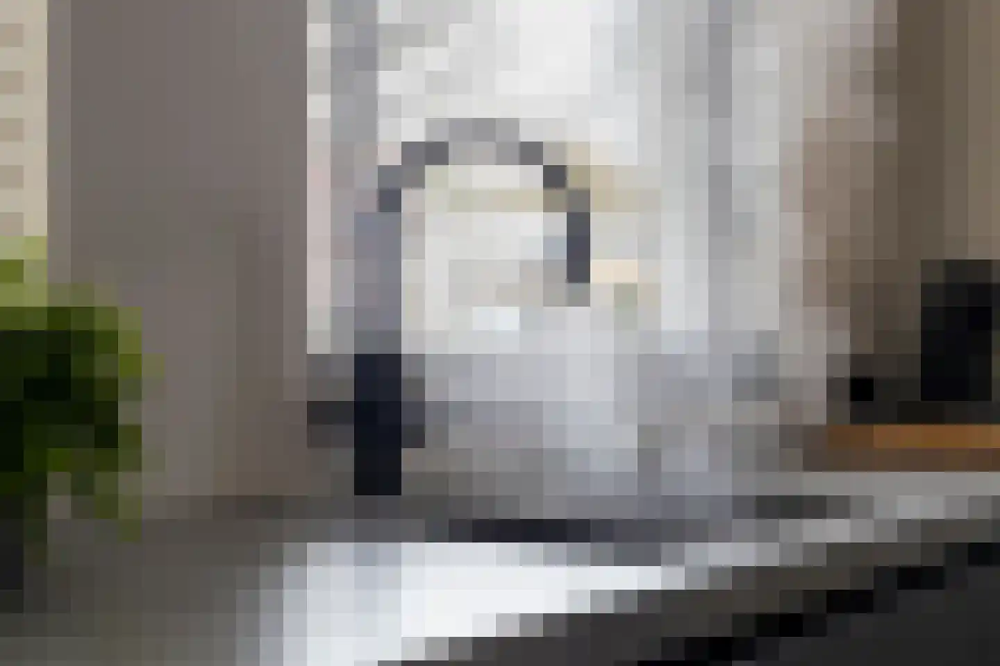 Kleine Kept 13 Bergeijk thumbnail 15