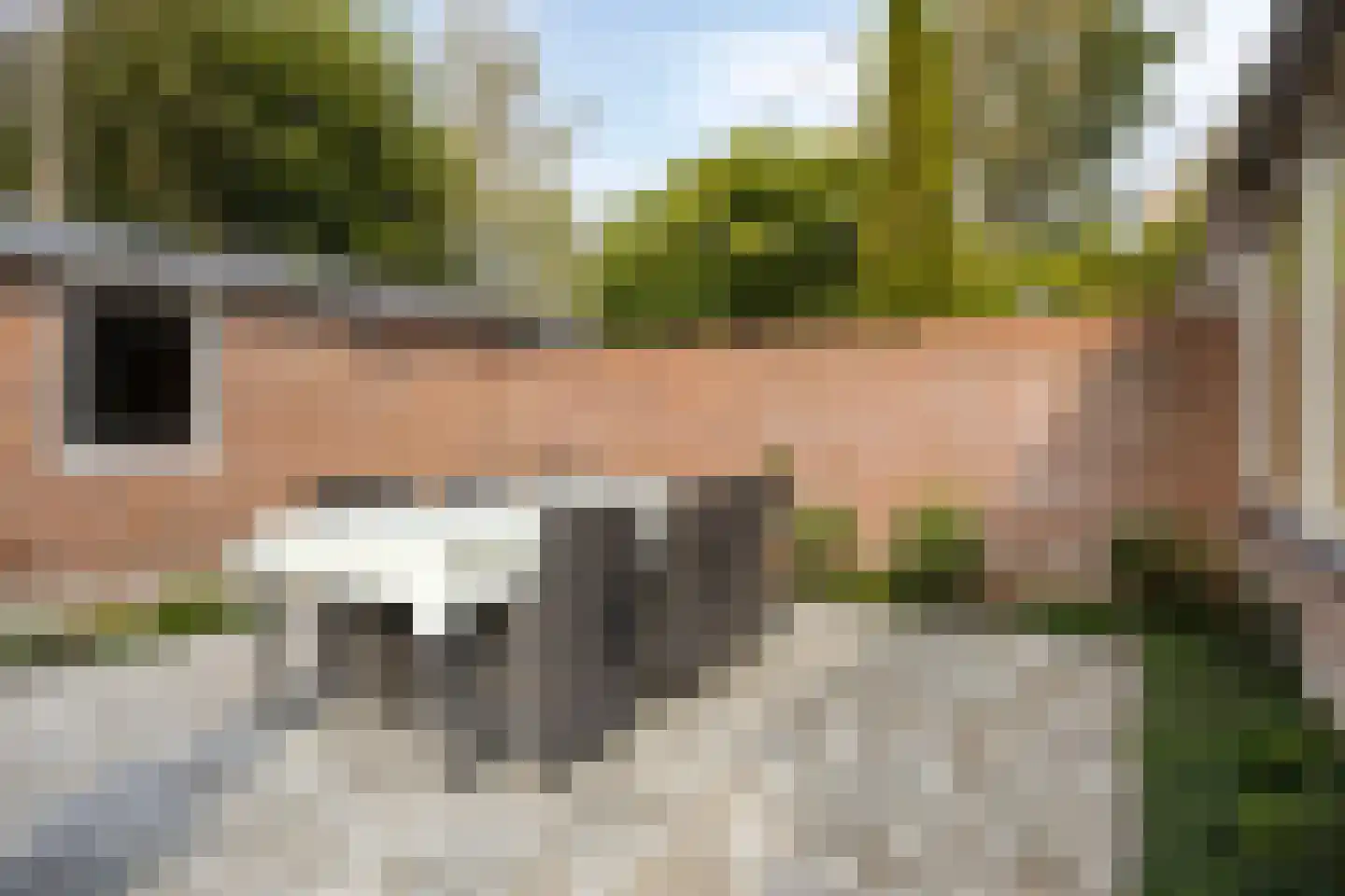 Kleine Kept 13 Bergeijk thumbnail 39