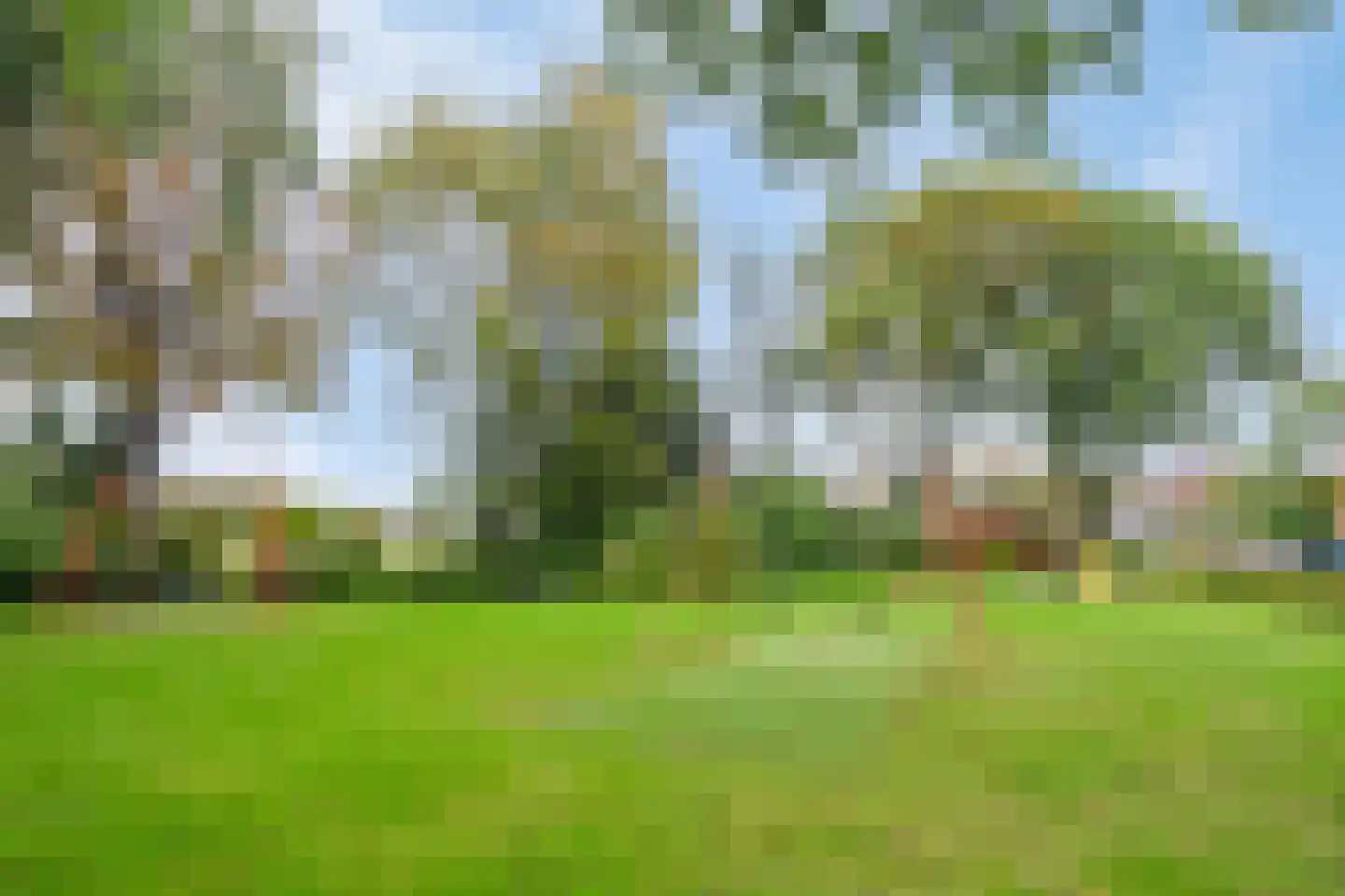 Kleine Kept 13 Bergeijk thumbnail 48