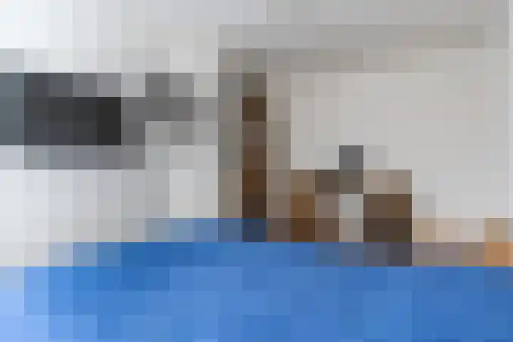 Kleine Kept 30 Bergeijk thumbnail 13