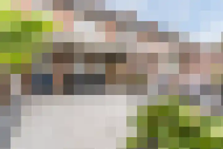 Kleine Kept 30 Bergeijk thumbnail 24