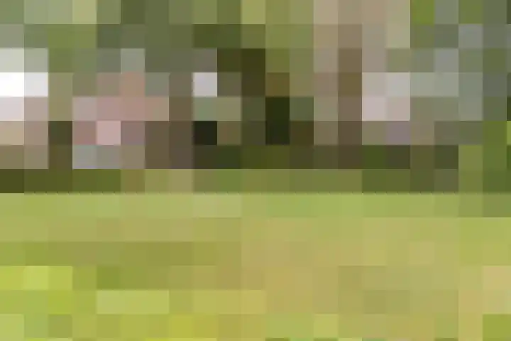 Kleine Kept 30 Bergeijk thumbnail 28